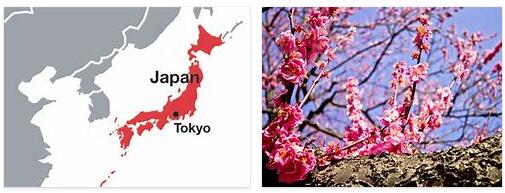 Japan Plants and Animals